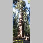 20060823_Sequoia_Panorama002 copia.jpg